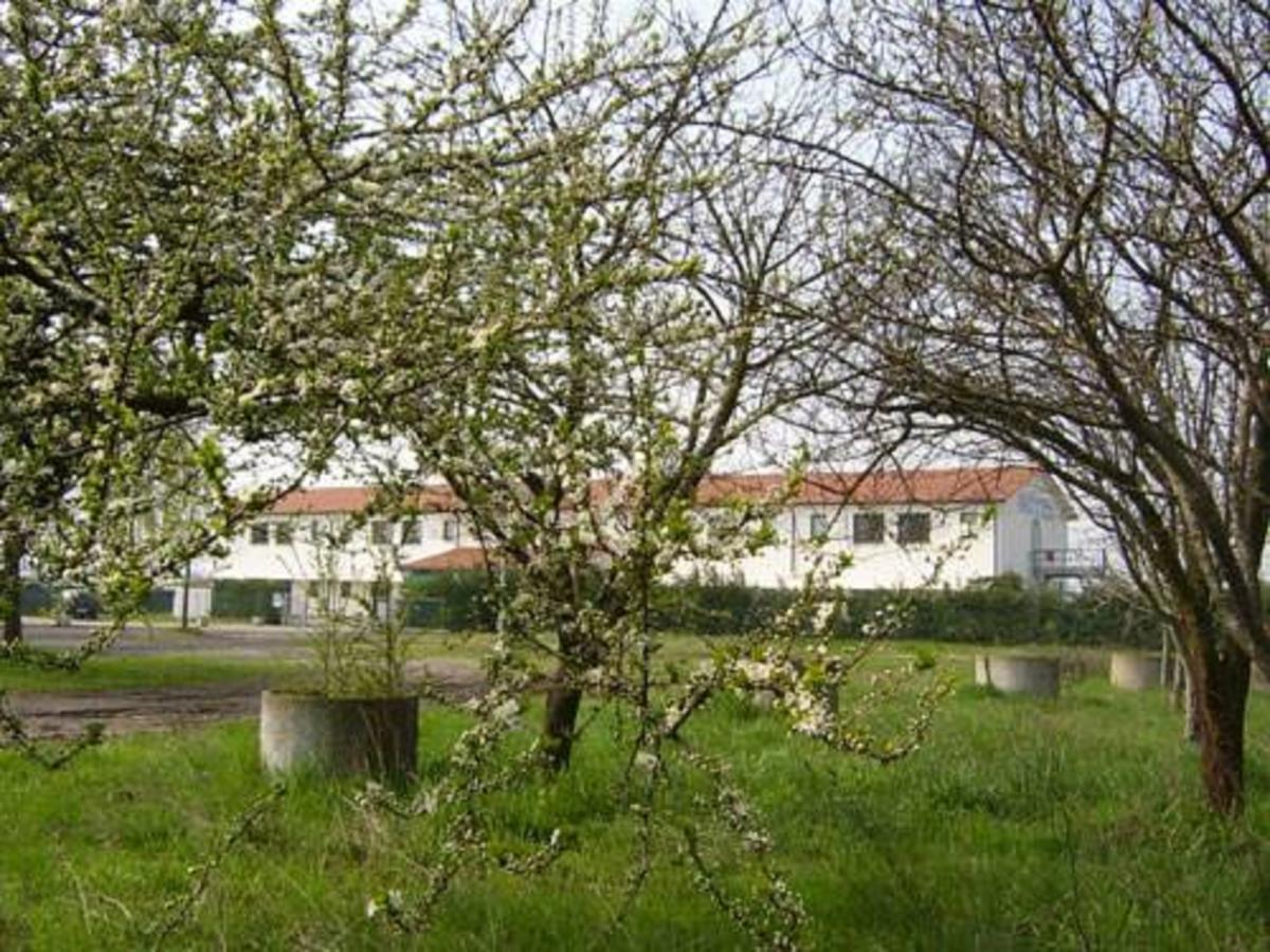 Hotel Lory Ficarolo Екстер'єр фото